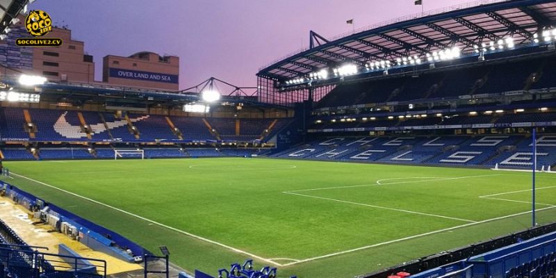 Nhận định Chelsea vs Newcastle United 00h30 15/03: Đại chiến rực lửa tại thánh địa Stamford Bridge
